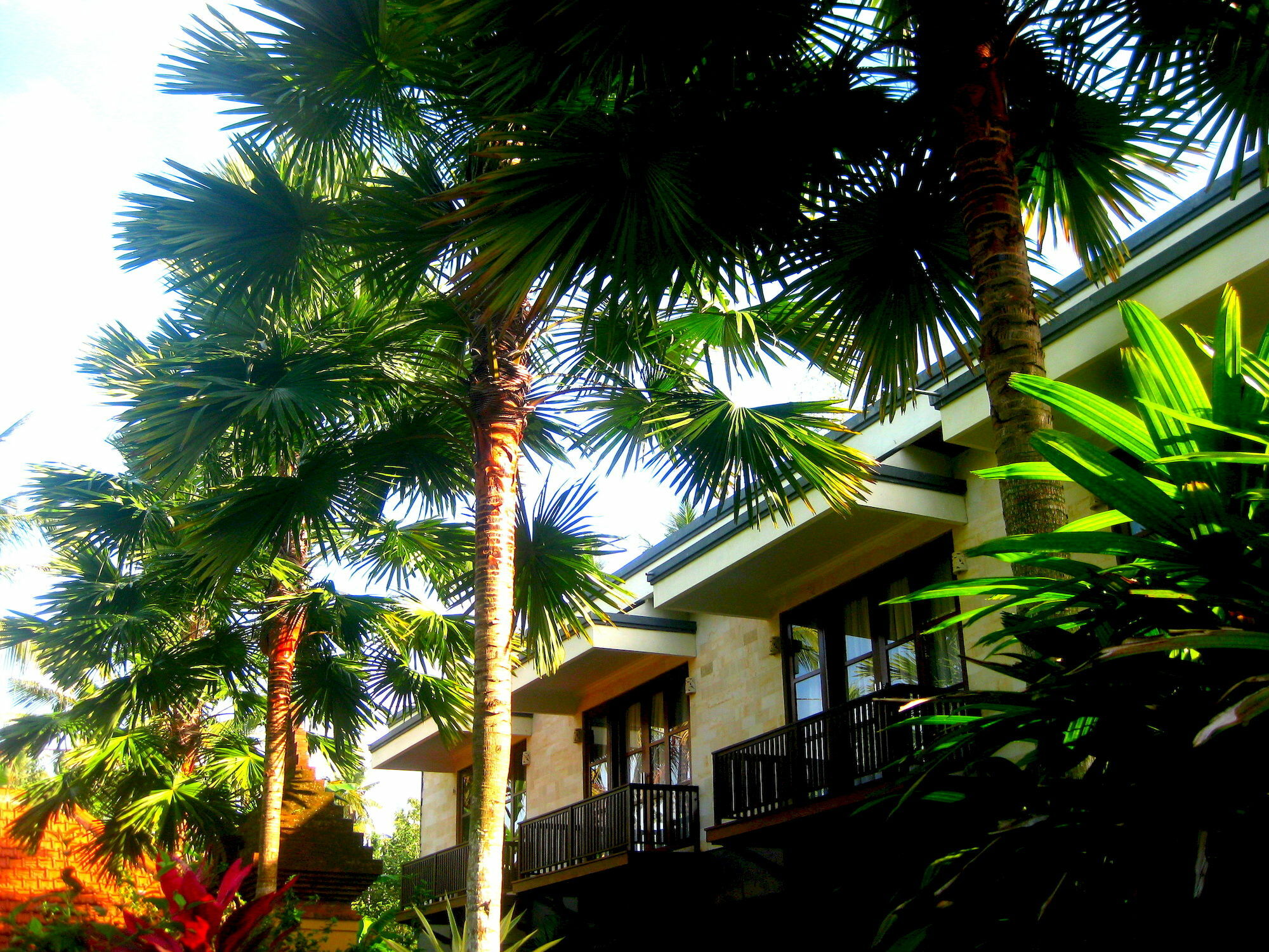 Villa Sonia Bisma Ubud Esterno foto