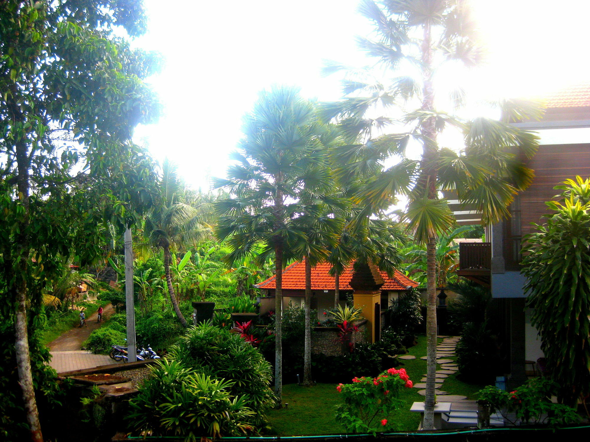 Villa Sonia Bisma Ubud Esterno foto
