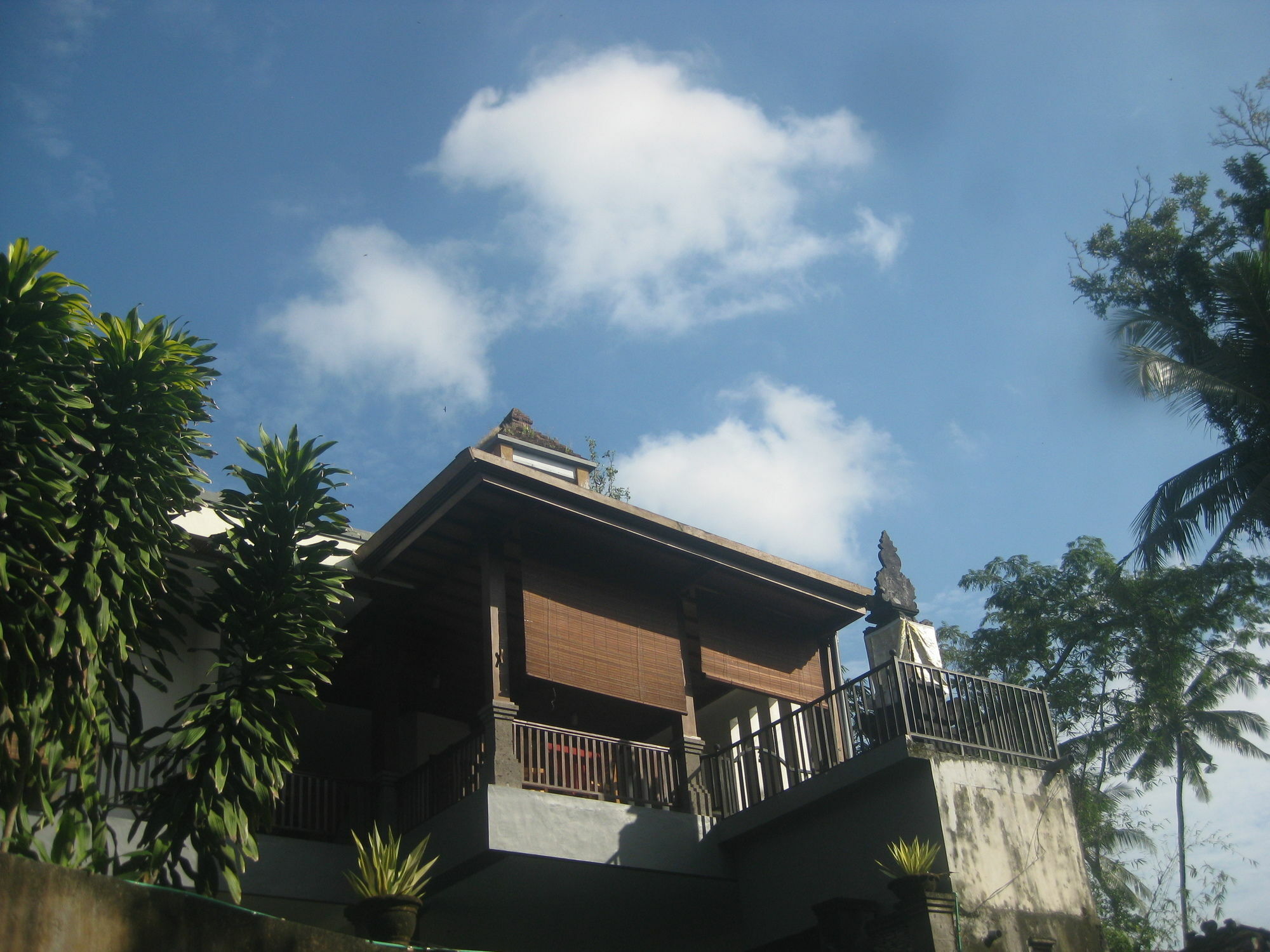 Villa Sonia Bisma Ubud Esterno foto